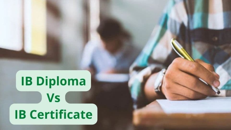 International Baccalaureate Diploma vs Certificate