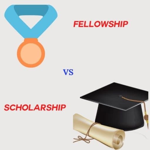 fellowship vs scholarship
